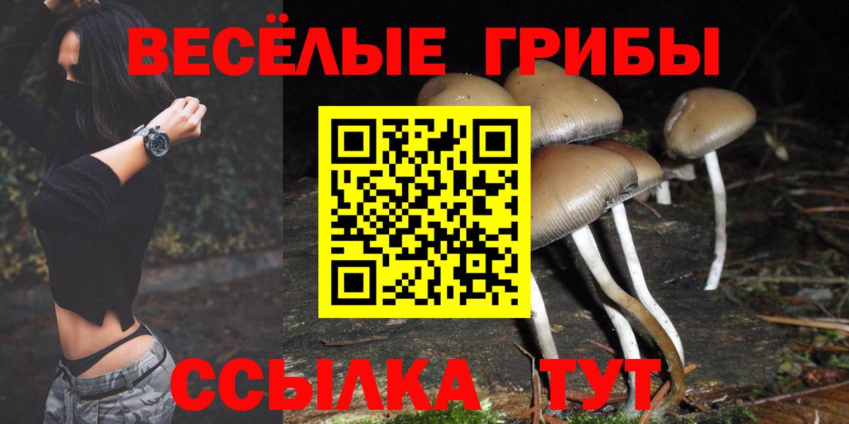Дмитров  Галлюциногенные грибы мухоморы  что такое наркотик  Вход с VPN 
