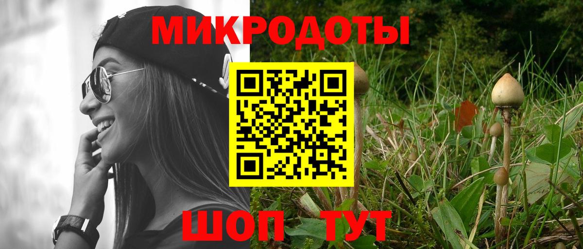 Псилоцибиновые грибы прущие грибы Дмитров